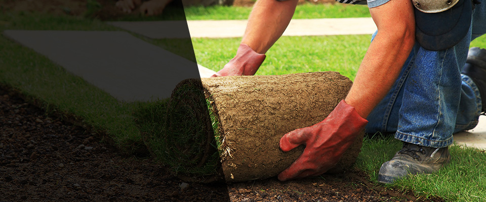 Nocona Landscapers